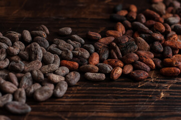 Raw cocoa beans two types Venezuela on brown background