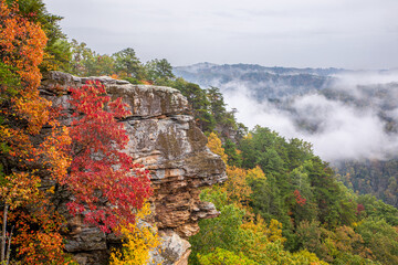 Autumn in Appalachia