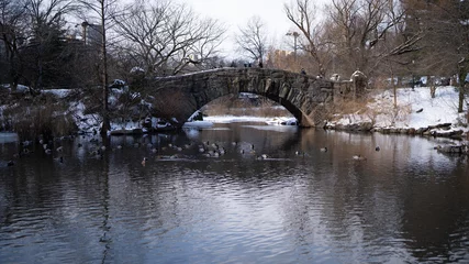 CENTRAL PARK BRIDGE DUCKS ON WATER