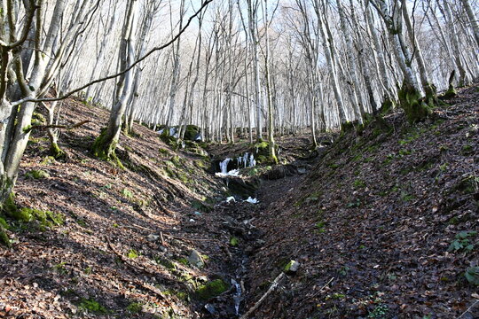 Mini-waterfall seen during the day