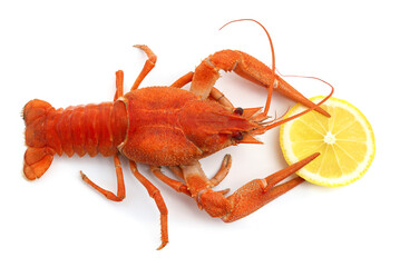 Boiled crayfish holding a lemon in its claws.