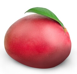 Mango fruit isolated on a white background