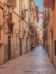 Fototapeta na wymiar Palma de Mallorca, Mallorca, Spain