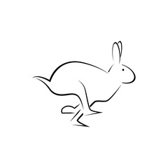 Rabbit vector art and graphics