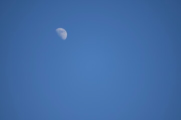 Closeup shot of the Moon in the blue clear sky - perfect for background