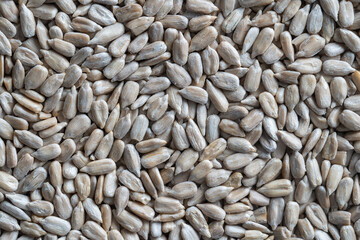 Peeled sunflower seeds pile background, close up