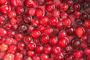 Red fresh cranbierry background and texture, close up