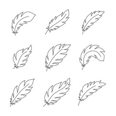 Doodle feathers on white background. Graphical mono line set. Vector illustration
