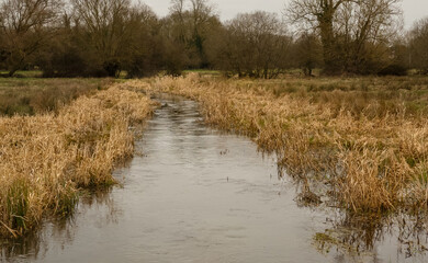 scenic view along a tributary of the river avon 