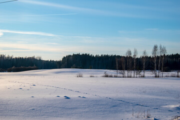 Fototapeta premium View of the countryside. Footprints in the snow