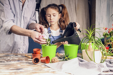 little beautiful girl is watering flowers to help her mother with seedlings. house garden, family activity. caucasian ethnicity. front view.