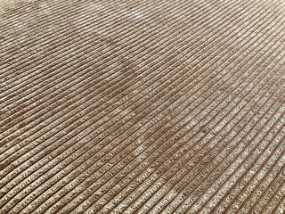 beautiful texture aspect color background view caption photo