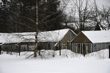 Fototapeta na wymiar A cloudy winter day. Snowfall. Greenhouse, covered with snow. Snow drifts