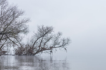 Fototapeta na wymiar Nebel über dem Fluß im WInter