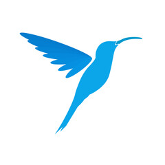 Obraz premium Hummingbird vector art and graphics