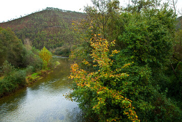 Zona salmonera, Río Bedón, Asturias