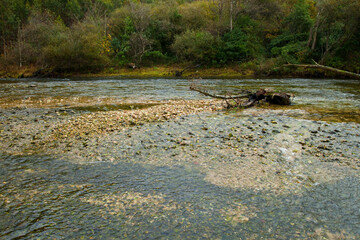 Zona salmonera, Río Bedón, Asturias