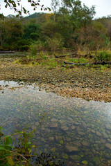 Zona salmonera, Río Bedón, Asturias