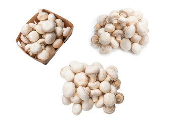 Champignon mushroom isolated on white background.