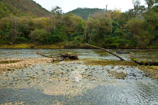 Zona salmonera, R&iacute;o Bed&oacute;n, Asturias