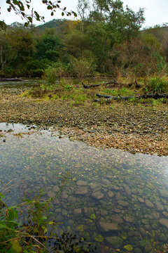 Zona salmonera, R&iacute;o Bed&oacute;n, Asturias