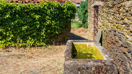 Fototapeta premium Stone sink in the village with ivy in the background