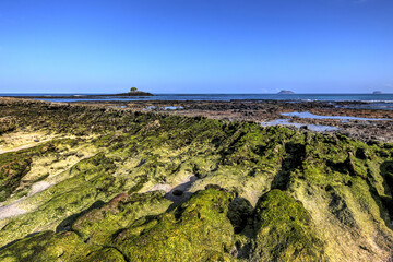 Rugged shorelines of Bachus Beach in the Galapagos