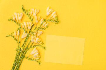 Brunch of yellow freesia flower and yellow empty card  on yellow background. Flat lay, top view