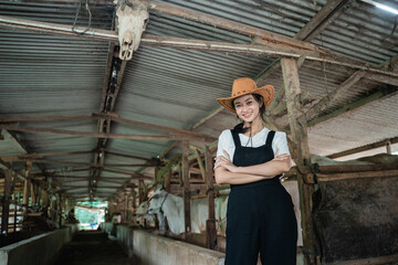 Fototapeta premium cowboy woman with crossed hands while wearing a hat in a wide cow shed with a cow background