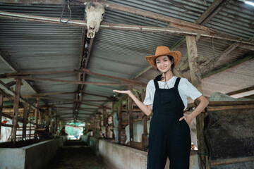 cowboy woman posing with hands carrying something while wearing a hat in a large cow stable with a cow background