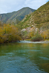 Coto salmonero El Bollu, Río Sella, Tornín, Asturias