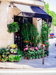 Cozy street with flower shop in Paris, France