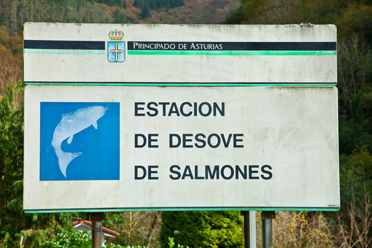 Paraje Natural Escala Salmonera de Ca&ntilde;o, R&iacute;o Sella, Ca&ntilde;o, Asturias