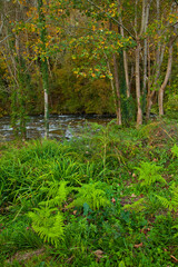 Río Piloña, Cuenca del Sella, Alrededores de Sevares, Asturias