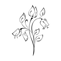 ornament 1561. three flower buds on curved stems with leaves in black lines on white background