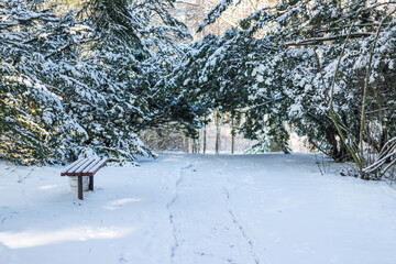 Snow trampled paths in the winter park