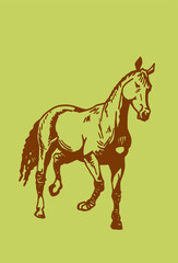 Vector color illustration, hand-drawn horse