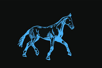 Vector color illustration, hand-drawn horse