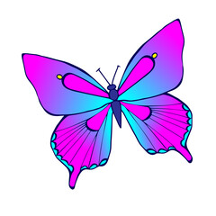 Vector butterflies is on white background