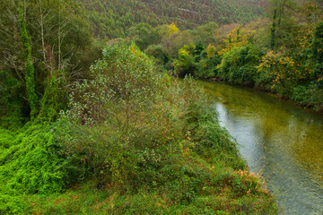 Zona salmonera, Río Bedón, Asturias