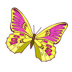 Obraz na płótnie Canvas Vector butterflies is on white background