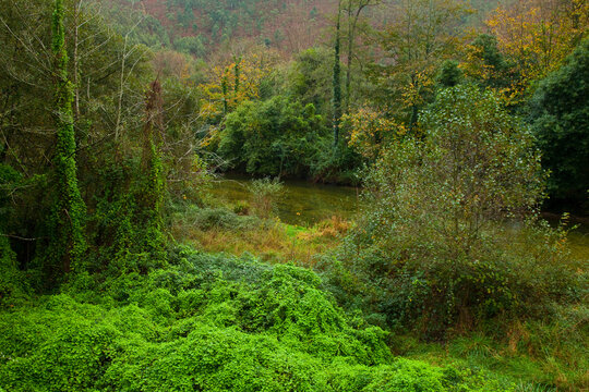 Zona salmonera, R&iacute;o Bed&oacute;n, Asturias