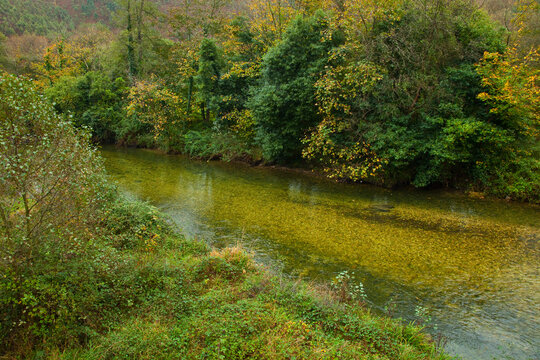 Zona salmonera, R&iacute;o Bed&oacute;n, Asturias
