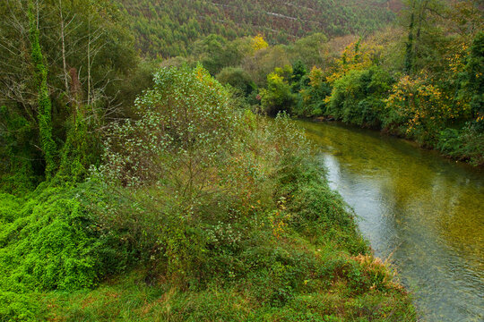 Zona salmonera, R&iacute;o Bed&oacute;n, Asturias