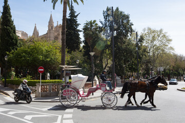 Fototapeta na wymiar Palma de Mallorca, Spain