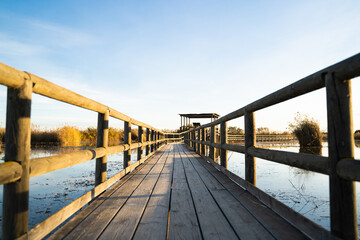 Wooden walkway over the lake water in the 'El Hondo' natural park at sunset. Elche, Alicante, Spain.