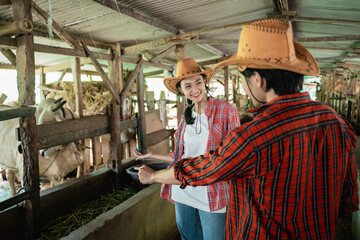 two cow farmers wearing hats are standing chatting with their hands pointing at something in the cattle shed in the background