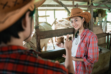 beautiful woman wearing hats give explanation about cattle and man in hats give praise with thumbs up in the background of the cow shed