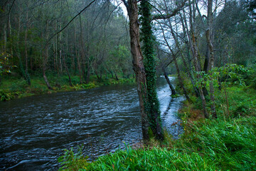 Río Eo, San Tirso de Abres, Asturias