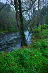 Río Eo, San Tirso de Abres, Asturias